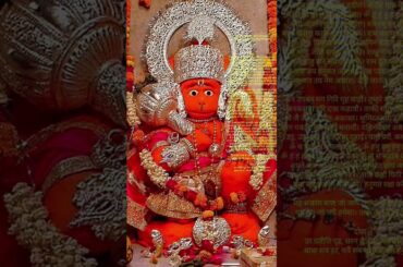 5 min healthy lunch box recipes  #video #devotional #mantras #sanskritmantras