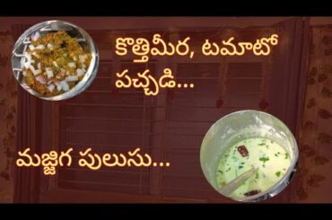 Simple Lunch recipes....#healthy #rotipachadi #curdrice #corianderchutney