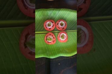 Quick Easy Tomato Kids Snack #kids #snacks #easyrecipe #easysnacks #trending #shorts #ytshorts #food