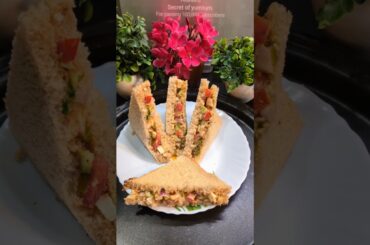 Easy and healthy brown bread sandwich recipe #recipe #food #easyrecipe #snacks #shorts #short #veg