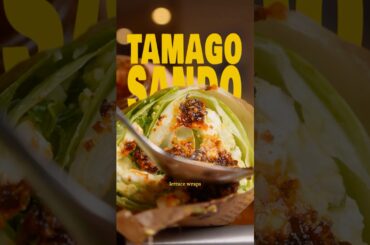 HIGH protein & LOW calorie wraps! #healthyrecipes