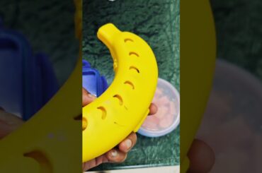 Kids Lunch Ideas | Lunch Ideas for nursery kids | Healthy Lunch ideas for toddlers