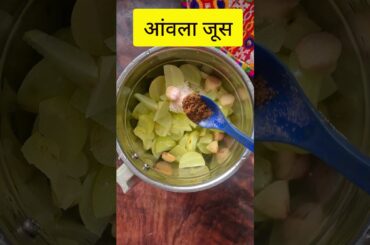 Vitamin C shots for hair growth weight loss boosting immunity | Amla shots recipe |Indian gooseberry