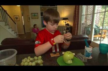 10 healthy school lunch ideas