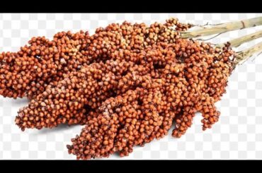 How to cook mapfunde porridge || Mapfunde healthy recipes || African foods