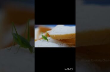 World Health Day | health tips | healthy food | healthy recipes | health care | Health and fitness