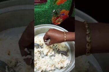 #shorts #shortsvideo #youtubeshorts #tapioca #healthysnacks#snacks#recipe @Nivethamadhavankitchen