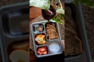 Sammy Ka lunch box day 40 healthy tiffin ideas for kids #shorts #sammykalunchbox