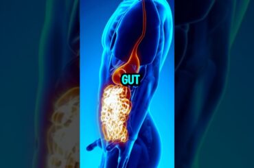 IMPROVE Your Gut Health with These 5 Amazing Foods! #health   #guthealth   #digestion