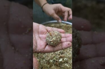 Winter Special Dryfruit Laddu #dryfruits#laddu#sugarfree #weightloss#healthybreakfast #healthy#yummy