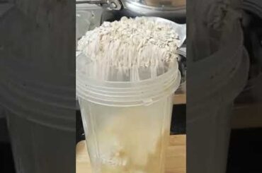 Oats, banana and apple healthy protein shake. #oats #weightloss #music #recipe #healthy #milkshake #