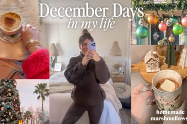 DAYS IN MY LIFE | marshmallow recipe, healthy eats, cozy holiday fun + tracking my hormones!