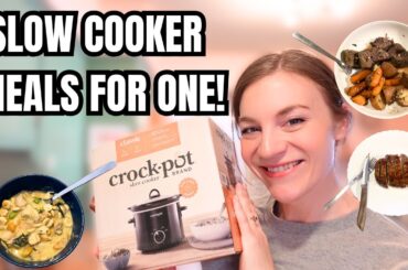 SINGLE SERVING SLOW COOKER RECIPES! CROCKPOT MEALS FOR ONE!