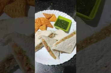 Veg Sandwich|Healthy Breakfast Ideas #breakfast #vegsandwich #sandwich #like #subscribe #quickrecipe