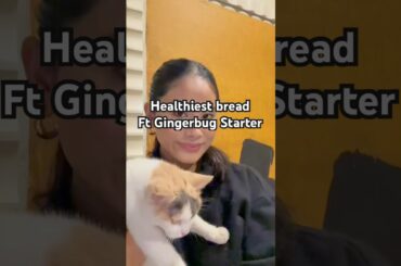 Healthiest bread ft Gingerbug Starter