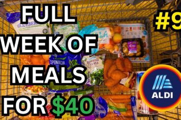$40 for 7 Days | 21 Meals & 7 Snacks | Healthy & Easy Budget Meal Plan #9