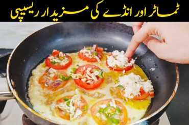 Famous Tomato & Egg Recipe | Quick breakfast Recipe | Tomato with eggs!