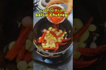 Chutney recipe | Poondu chutney in tamil | south indian chutney recipe for idli dosa #shorts