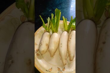Healthy radish salad recipe  || ytshorts# status video #