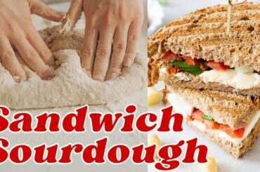 Your NEW FAVORITE Sourdough Bread | Healthy Whole Grain & Soft