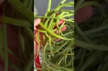 Immunity Booster, Low In Calories, High Fibre Mogri Dish #health #viral #winterspecial food #shorts