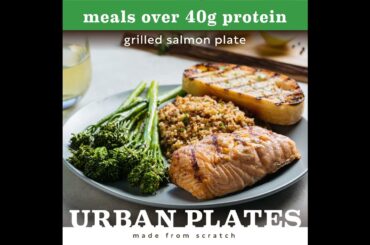 Urban Plates - High Protein