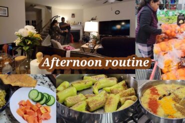 Weekend Routine vlog| Costco Shopping,  Cooking Healthy & simple food| Indian Mom in USA