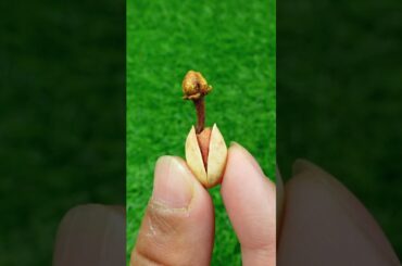 Pistachio, Cloves and Cardamom Healthy Recipe #shorts