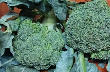 Simple Potato & Broccoli Recipe !  Healthy Lunch, Quick & Delicious Recipe | Broccoli Recipe