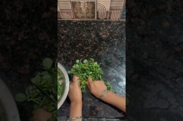 Methi Paratha#Breakfast Recipes# Healthy Recipes #Paratha Recipe# Indian Bread recipe#food #ytshorts