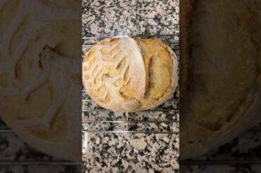 Caddy Clasp #shorts #sourdough #sourdoughbread