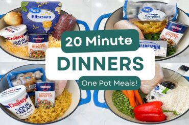 5 Tried & True 20 Minute Dinners! | ONE POT MEALS | The EASIEST Weeknight Recipes! | Julia Pacheco