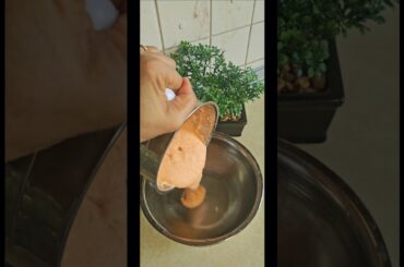 Healthy breakfast ideas indian | morning breakfast recipes #shorts #viral #breakfast #youtubeshorts