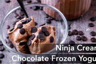 Ninja Creami Chocolate Frozen Yogurt | High Protein & Low Calorie! - Hungry Healthy Happy