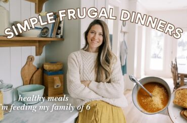 Budget-Friendly Meals to Feed Your Family
