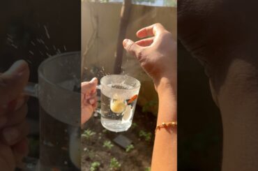 “Power-Packed Amla Juice for Detox, Glowing Skin | Immunity Booster Recipe!” #health #detox #recipe