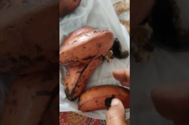 #banana #food #fruit #healthyfood