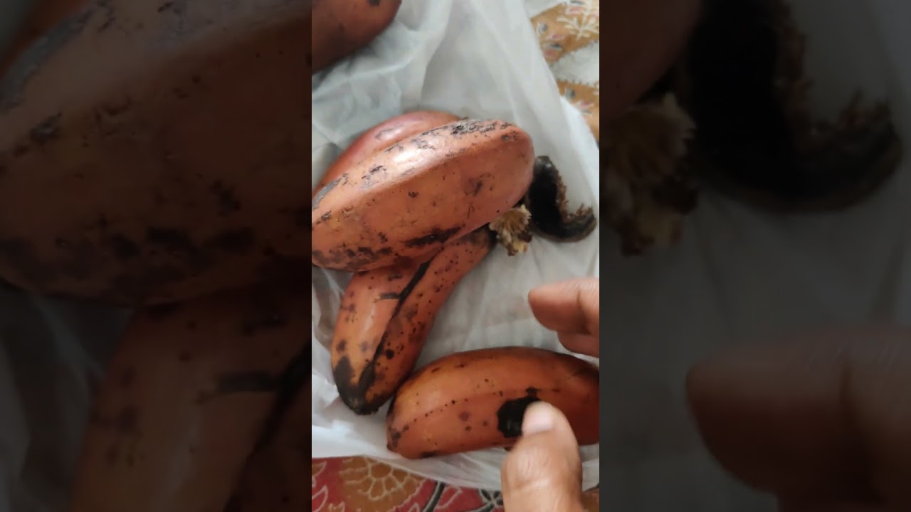 #banana #food #fruit #healthyfood #banana #food #fruit #healthyfood