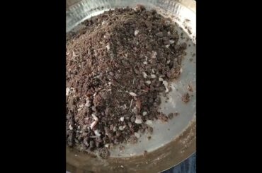 Healthy Bajra Laddu Recipe | Gluten-Free & Delicious! #BajraLaddu #HealthySnacks #GlutenFreeTreat