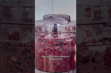 No Bake Blueberry Treat Balls Dog Treats With Blueberries