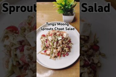 Tangy Moong Sprouts Chaat Salad | Healthy Indian Snack | High Protein dinner Recipe