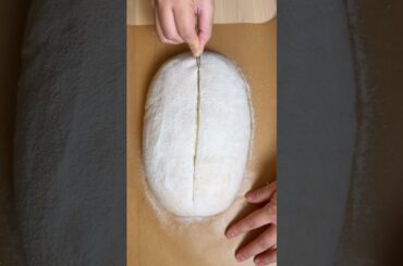 sourdough therapy #sourdough #baking