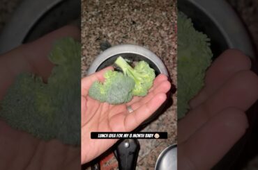 Baby-Led Weaning: Healthy Lunch Ideas for Tiny Foodies #minivlog