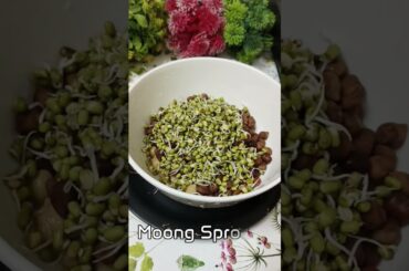 Protein Salad Recipe #healthyfood #antioxidants #omega3 #fiberfoods #trending #short #moongsprouts