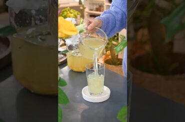 Kanji #asmrfood #fermenteddrinks #amala #turmeric #healthyrecipes #probiotics #probioticdrink