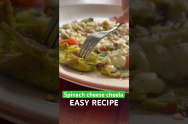 Spinach cheese cheela #recipe #food #fitness #healthyfood #weightloss #healthyrecipes