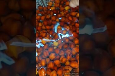 How to make black #chickpeas Curry #healthy #konda_kadalai kulambu #food #cooking #recipe in #tamil