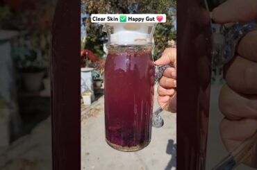 Kali Gajar Kanji | Healthy Weight Loss Drink Recipe #health #fitness #weightlossdrink