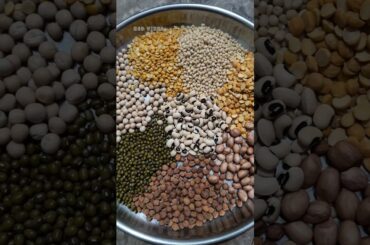 Protein rich Multigrain Dosa | Healthy Breakfast #peeling #alluarjun #healthy #protein #multigrain