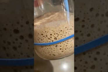 #1 Thing I Wish Someone Told Me About Sourdough #bread #sourdough #food #baking